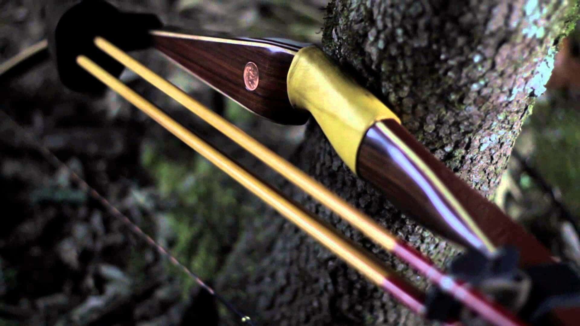Archery 桌布 壁紙 — 森林中一個木弓帶有金色裝飾和箭矢靠在長滿苔蘚的樹幹上的特寫。