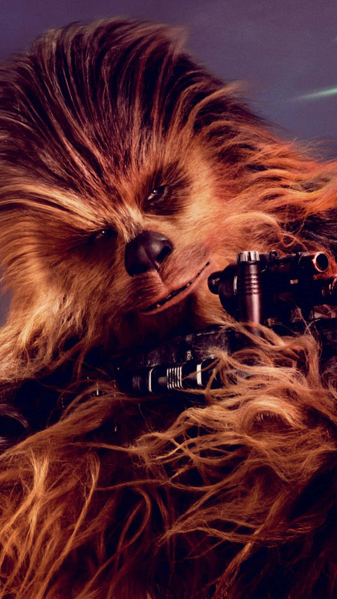 Solo A Star Wars Story 桌布 壁紙 — 楚巴卡近距離特寫，一把爆能槍擱在他毛茸茸的胸膛上，背景為深紫色。