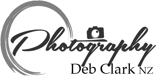 Company Logo 桌布 壁紙 — 極簡單色標誌，包含流暢書寫的「Photography」字樣、相機圖標和圓形筆觸。