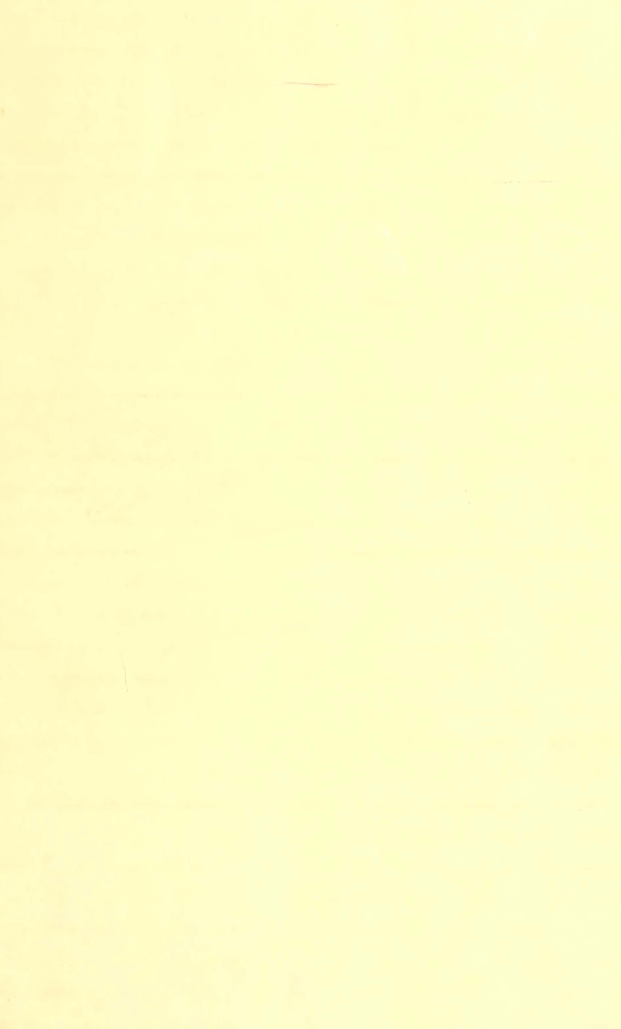 Pale Yellow 桌布 壁紙 — 極簡淡黃色紋理背景，帶有輕微的細微瑕疵和柔和漸變。