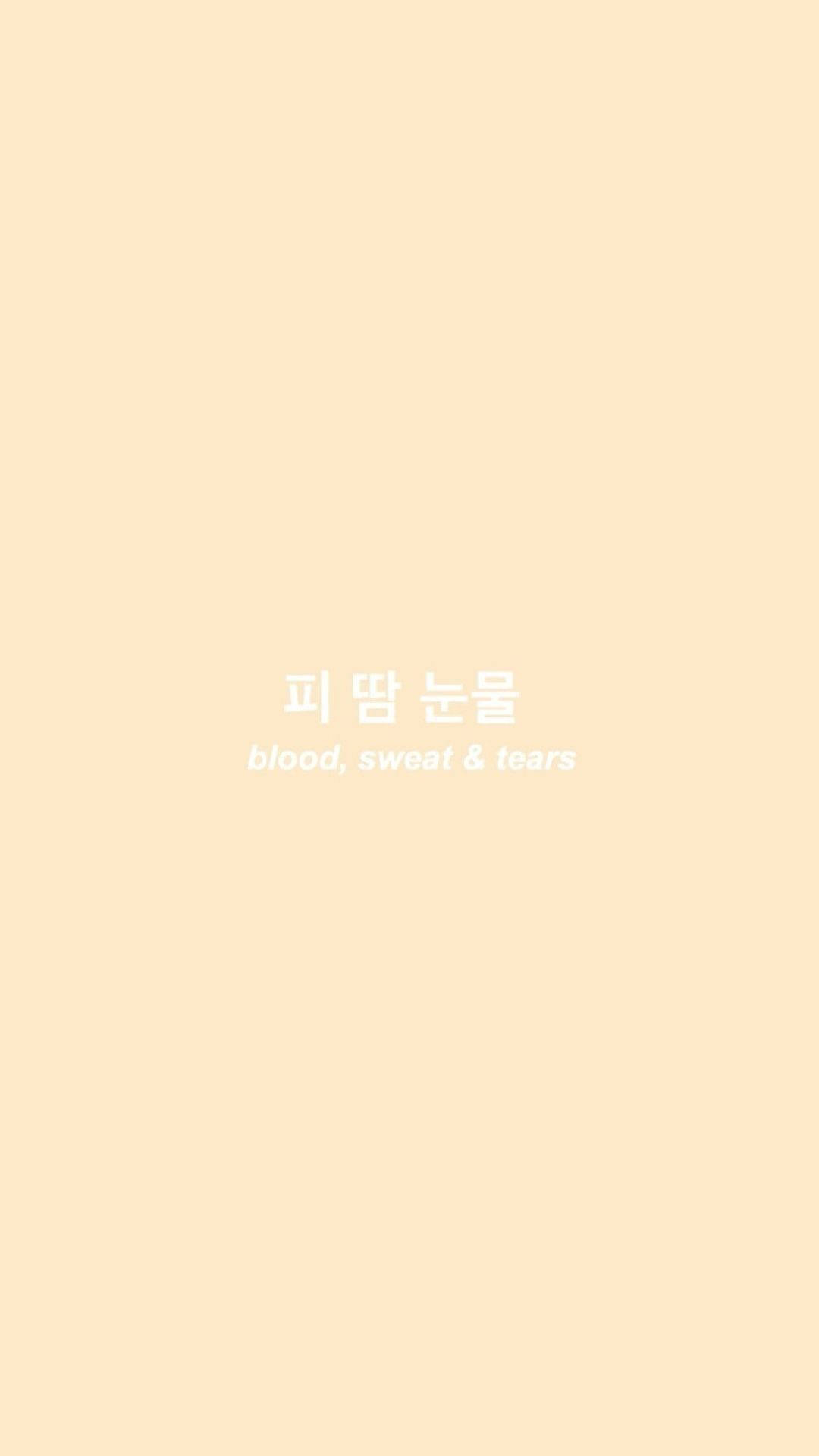 Beige Aesthetic Phone 桌布 壁紙 — 極簡淡黃色背景，中央放置韓文文字及英文翻譯「blood sweat & tears」。