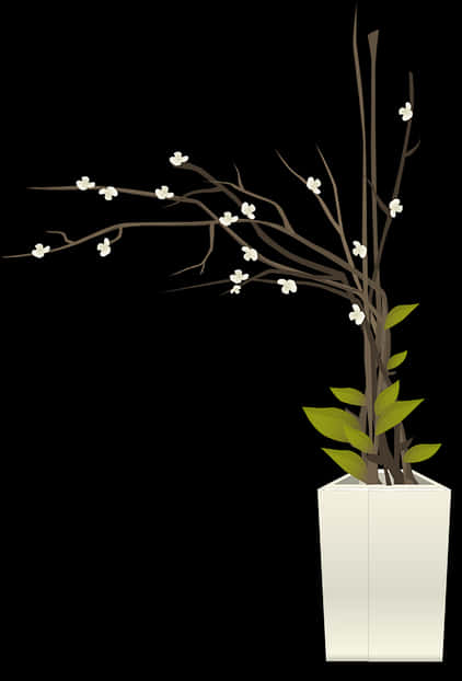 Potted Plant 桌布 壁紙 — 極簡白色花瓶，插著帶有小白色花朵和綠色葉子的裸露樹枝，背景為 stark 黑色。