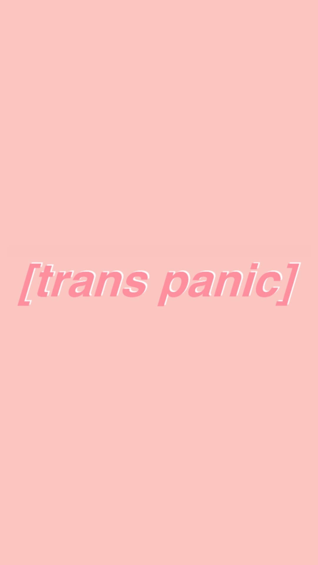 Panic 桌布 壁紙 — 極簡粉紅色背景，中央有匹配粉紅色的文字 trans panic，帶有微妙陰影。