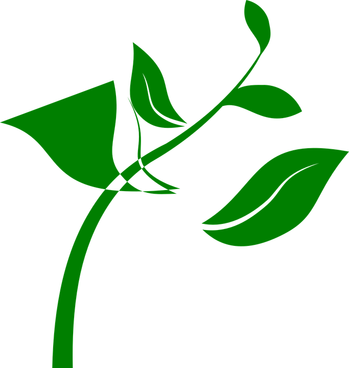 Daun 桌布 壁紙 — 極簡綠色植物莖葉，襯以純黑背景。