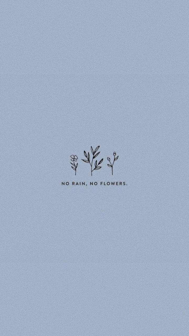 可愛風格 桌布 壁紙 — 極簡線條畫，描繪三棵小植物，中央有文字 no rain no flowers，背景為柔和的藍色紋理。
