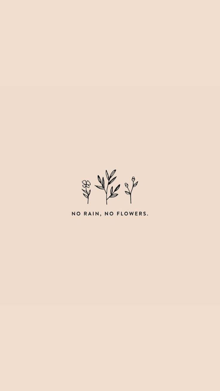 Positive Quotes 桌布 壁紙 — 極簡線條藝術，描繪三株精緻植物，並在柔和米色背景中央放置「no rain no flowers」字句。
