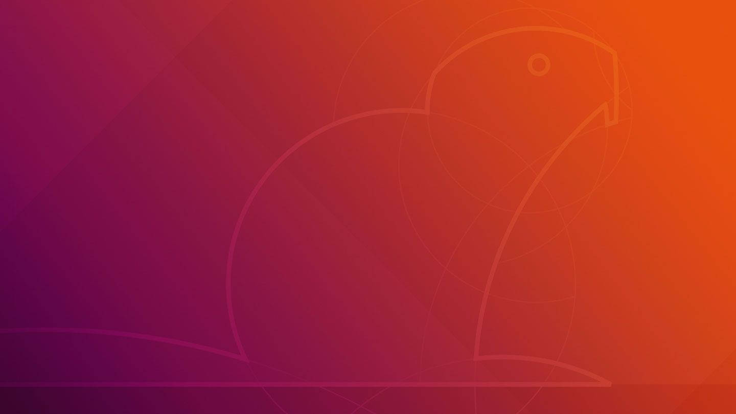 ubuntu 桌布 壁紙 — 極簡線條藝術鳥類剪影從洋紅色到橙色的漸變中浮現，背景柔和抽象。