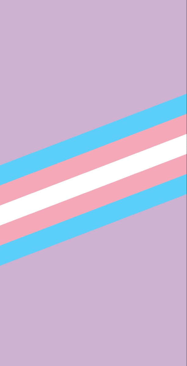 Pride Flag 桌布 壁紙 — 極簡風格桌布，以淡藍色、粉紅色和白色條紋的跨性別旗幟為特色，背景為薰衣草色。