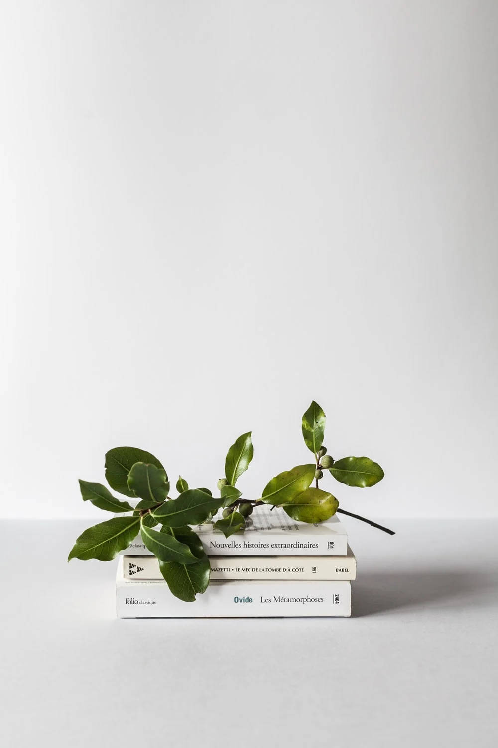 Plant Aesthetic 桌布 壁紙 — 極簡風格靜物：三本白色書籍堆疊，上面放著新鮮的綠色樹枝，背景為純白色。