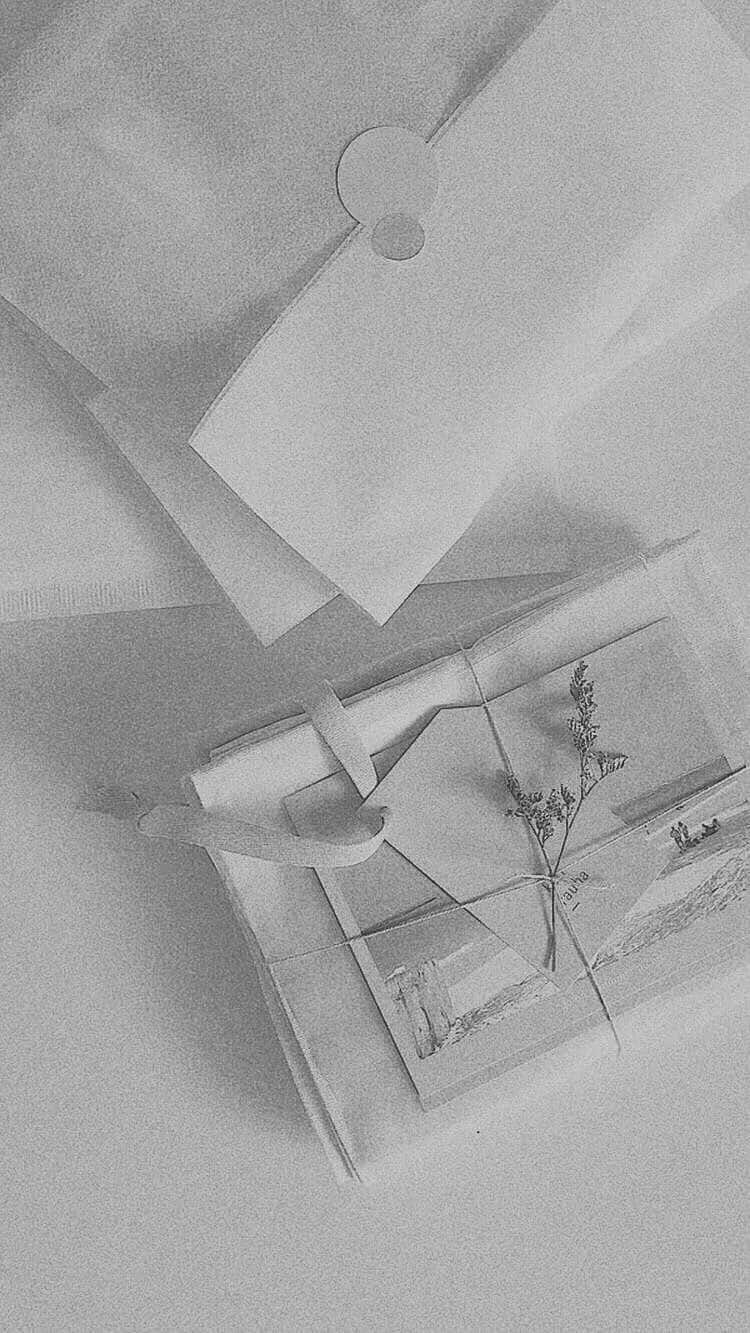 Soft White Aesthetic 桌布 壁紙 — 極簡黑白靜物：包裝禮物、乾燥植物與標籤，旁邊放著摺紙。