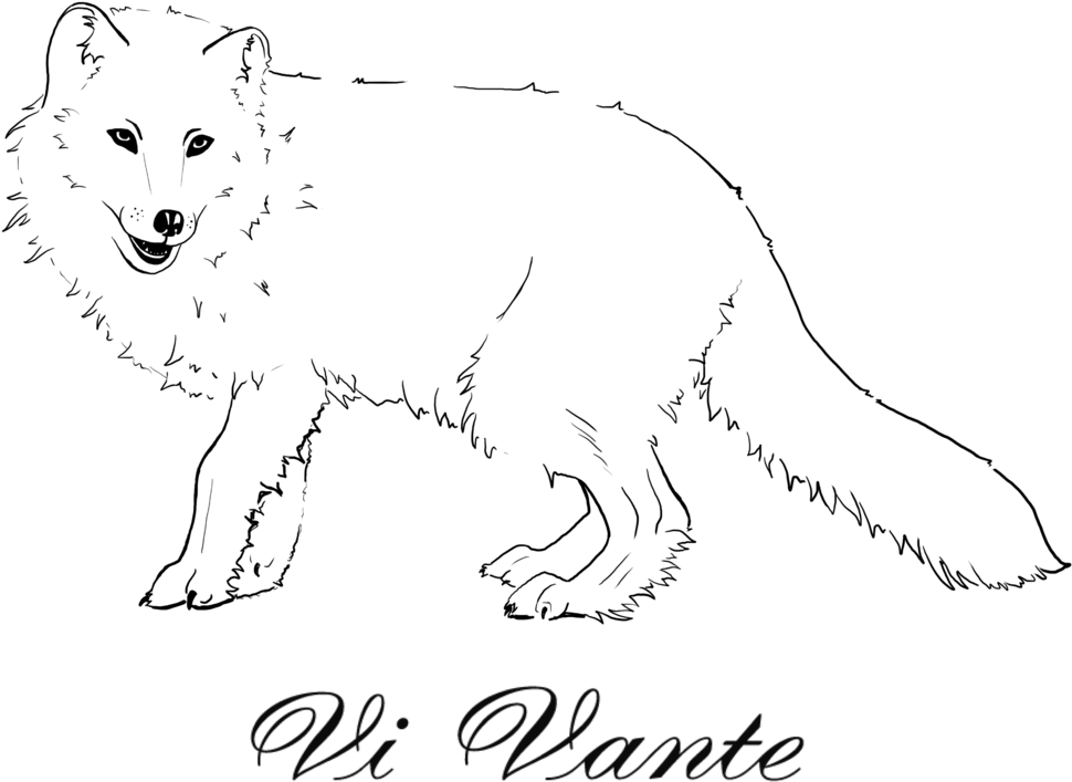 北極狐 桌布 壁紙 — 極簡黑色背景，底部有模糊的草書文字 Vi Vante。