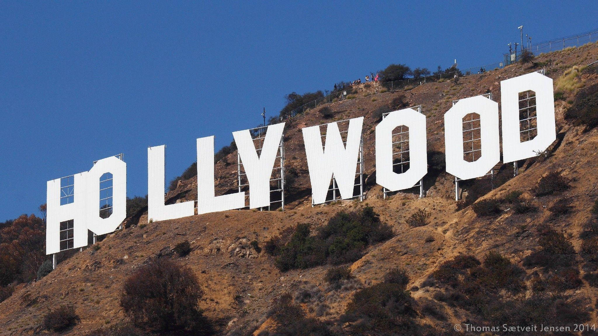 Hollywood Sign 桌布 壁紙 — 標誌性的白色好萊塢標誌在晴朗的藍天下，大膽地矗立在陽光普照的山坡上，下方有乾燥的灌木叢和稀疏的樹木。