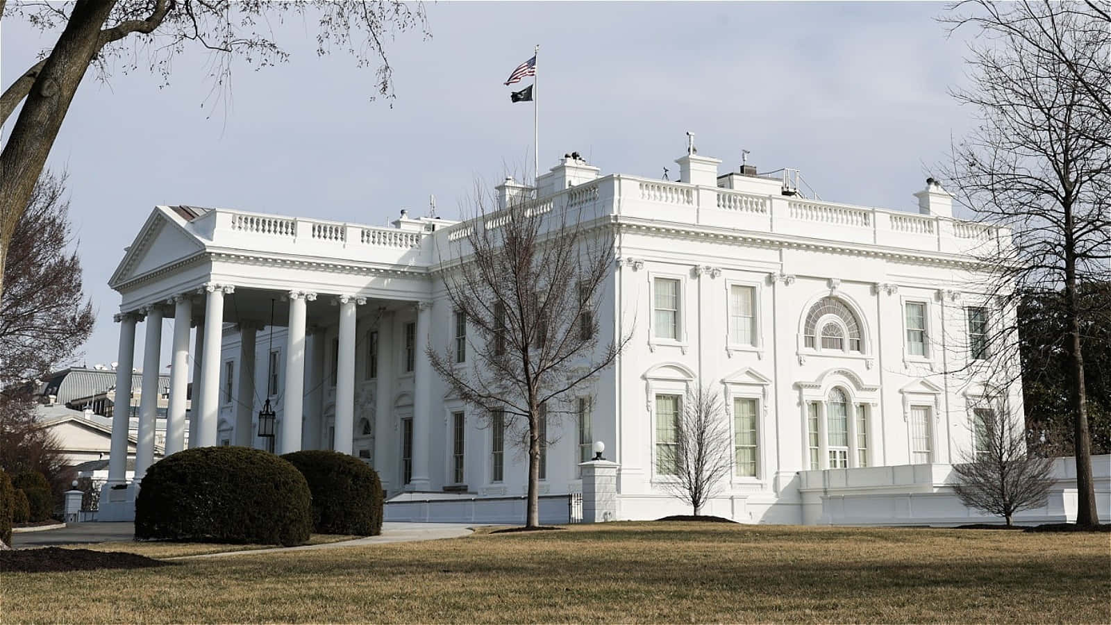 white house 桌布 壁紙 — 標誌性的白色新古典主義白宮矗立在蒼白的天空下，前景是光禿禿的樹木和修剪整齊的樹籬。