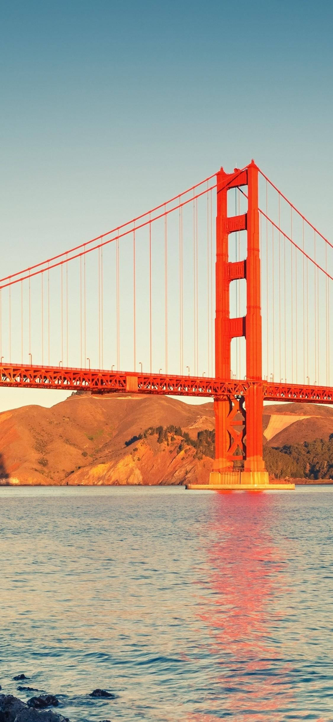san francisco iPhone 桌布 壁紙 — 標誌性的金門大橋在清澈的藍天下散發出溫暖的橙色光芒，其倒影在下方平靜的水面上閃爍。