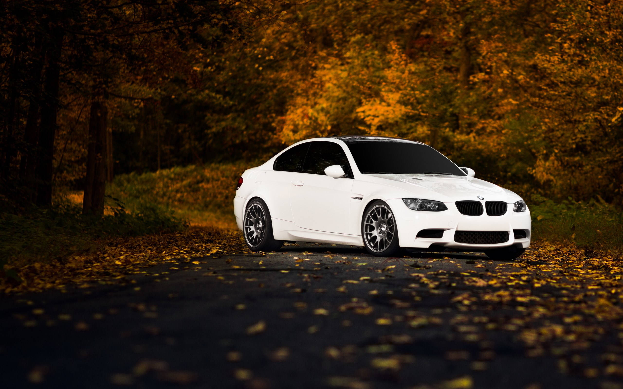 白色E92全高清BMW — 汽車 壁紙