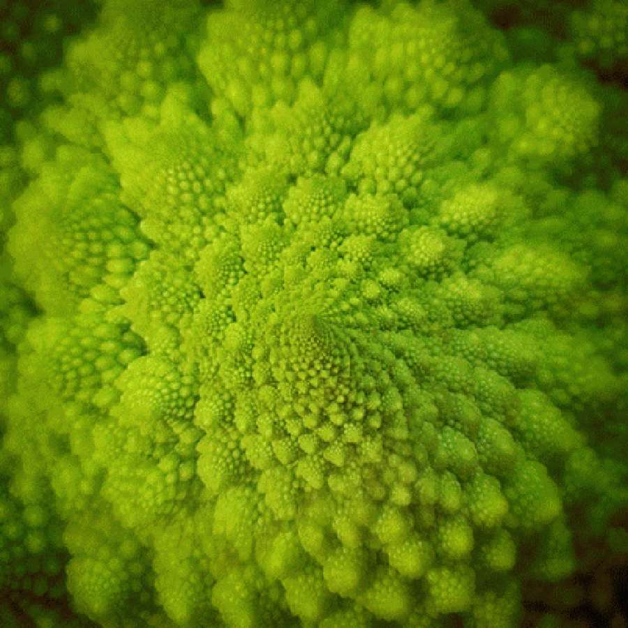 標題：碎形宇宙的繁複之美 壁紙