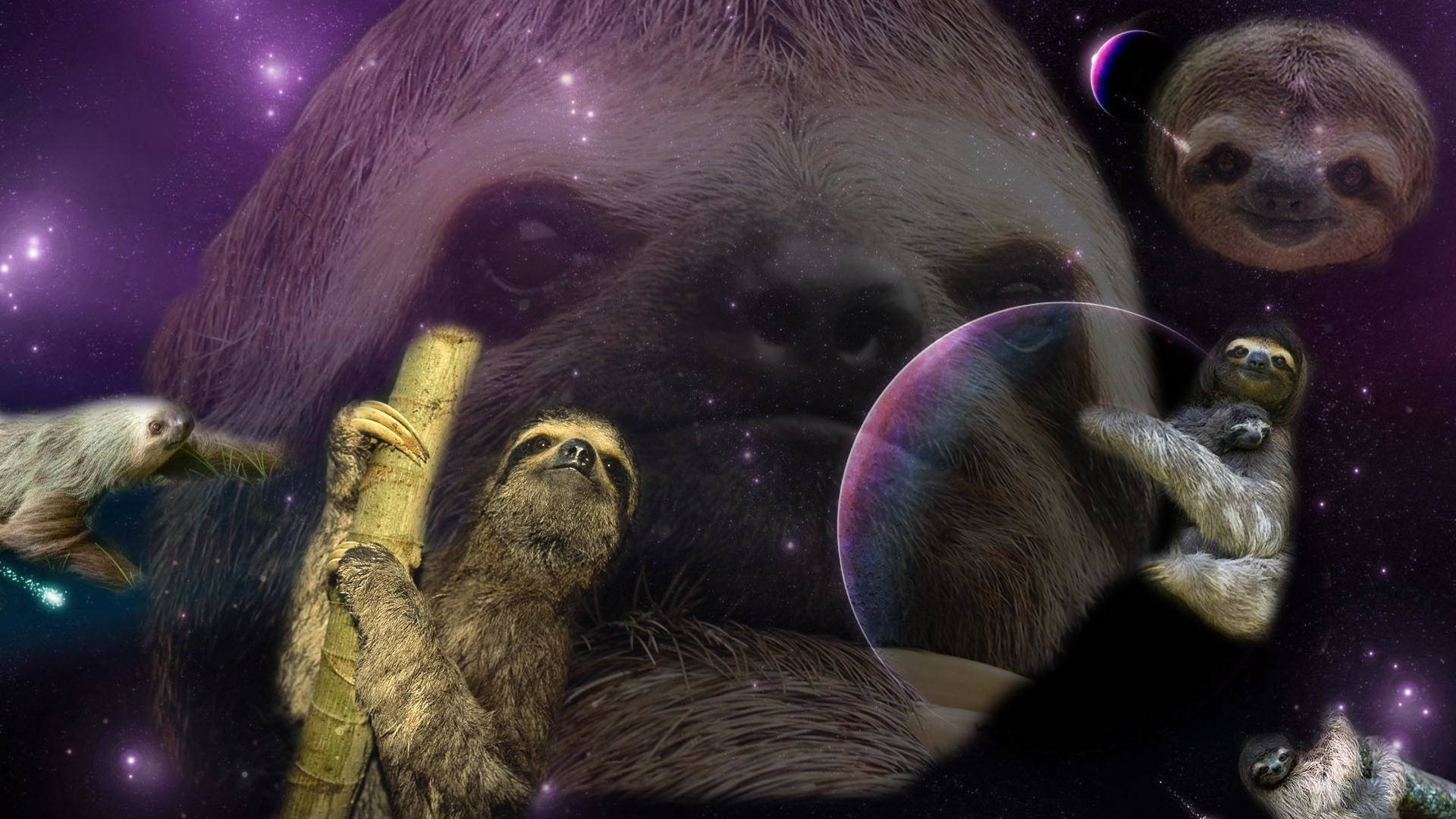 樹懶 桌布 壁紙 — 樹懶在宇宙場景中漂浮和攀附，紫色星星和行星襯托著巨大的樹懶臉。