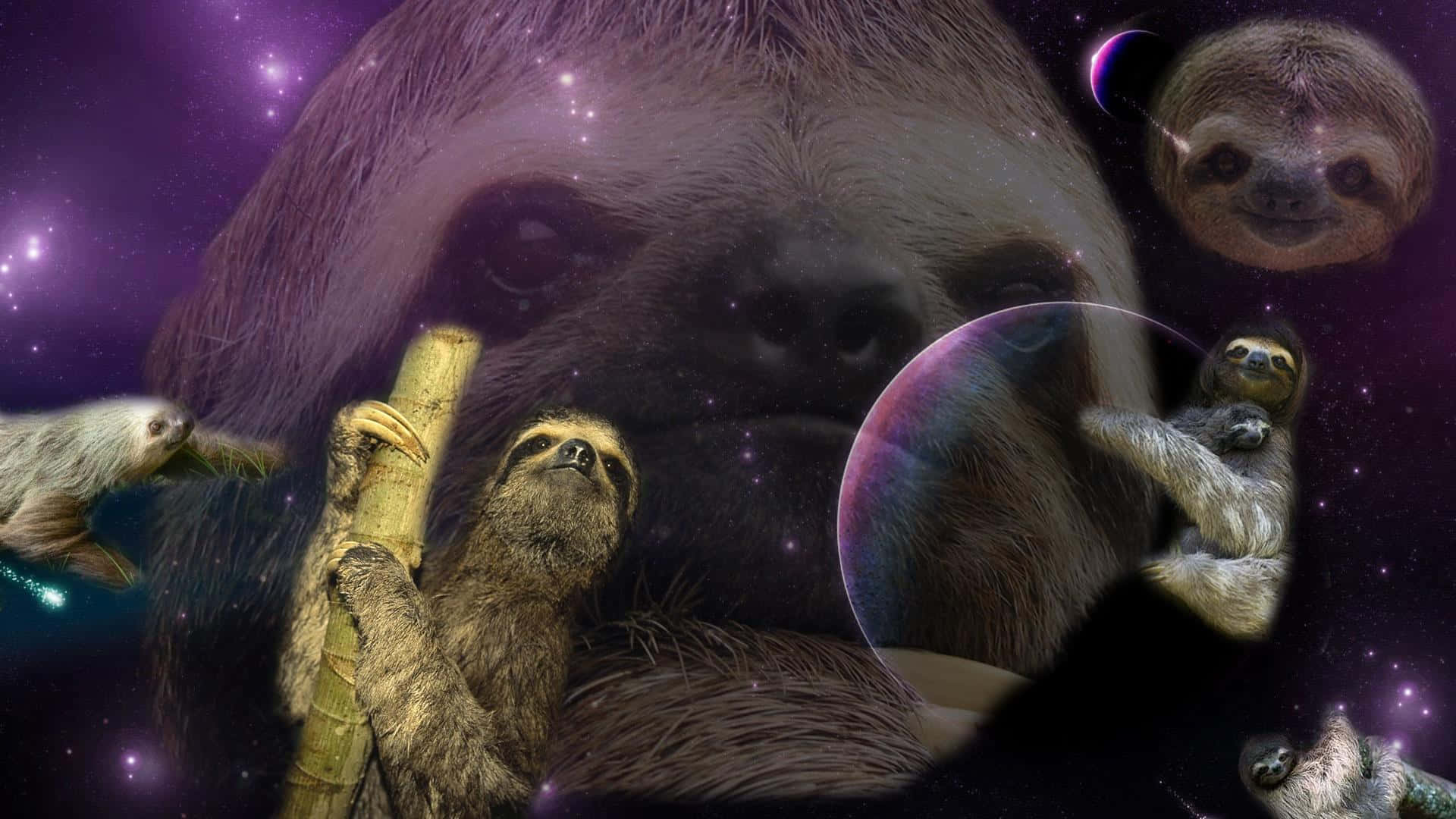 樹懶 桌布 壁紙 — 樹懶在宇宙場景中漂浮和攀附，背景有星星、行星和一個巨大的樹懶臉，襯托著紫色星系。