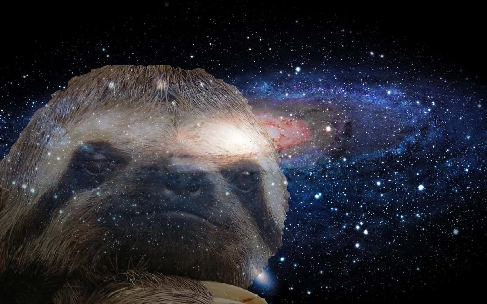 樹懶 桌布 壁紙 — 樹懶的臉與一個充滿宇宙恆星和星雲的鮮豔螺旋星系融合在一起。