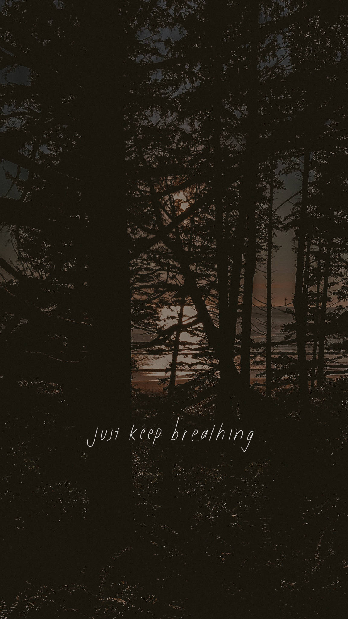 Breathing 桌布 壁紙 — 樹木剪影框住水上寧靜的日落，並以柔和字體寫上「just keep breathing」字句。