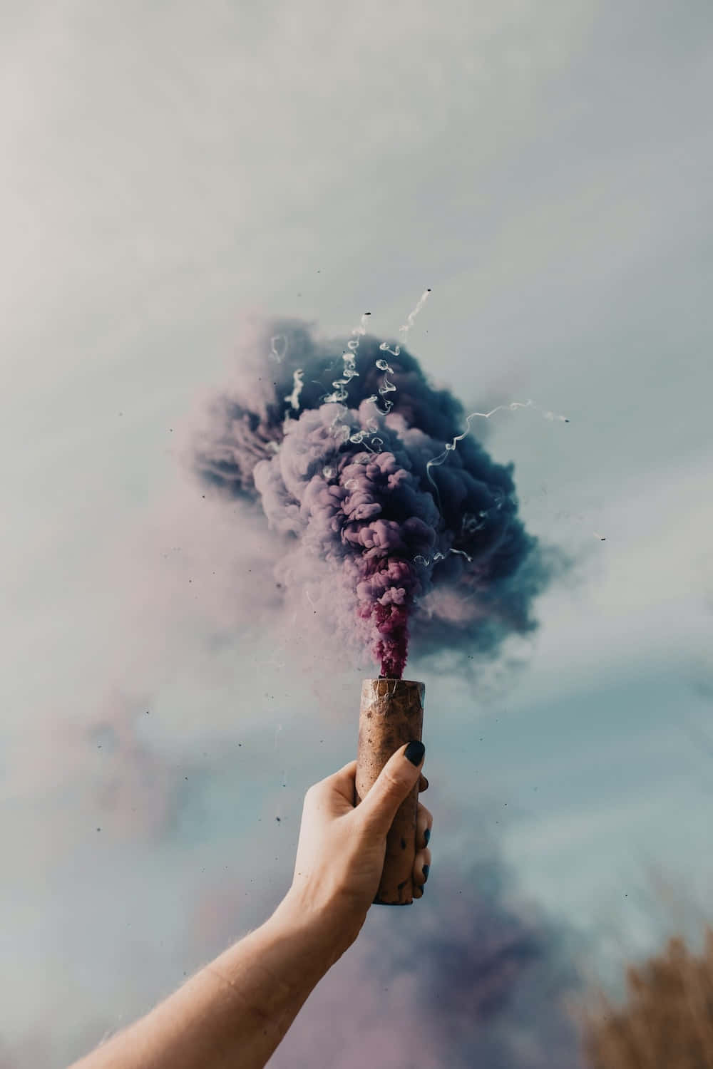 樹林上方的神秘煙霧 壁紙