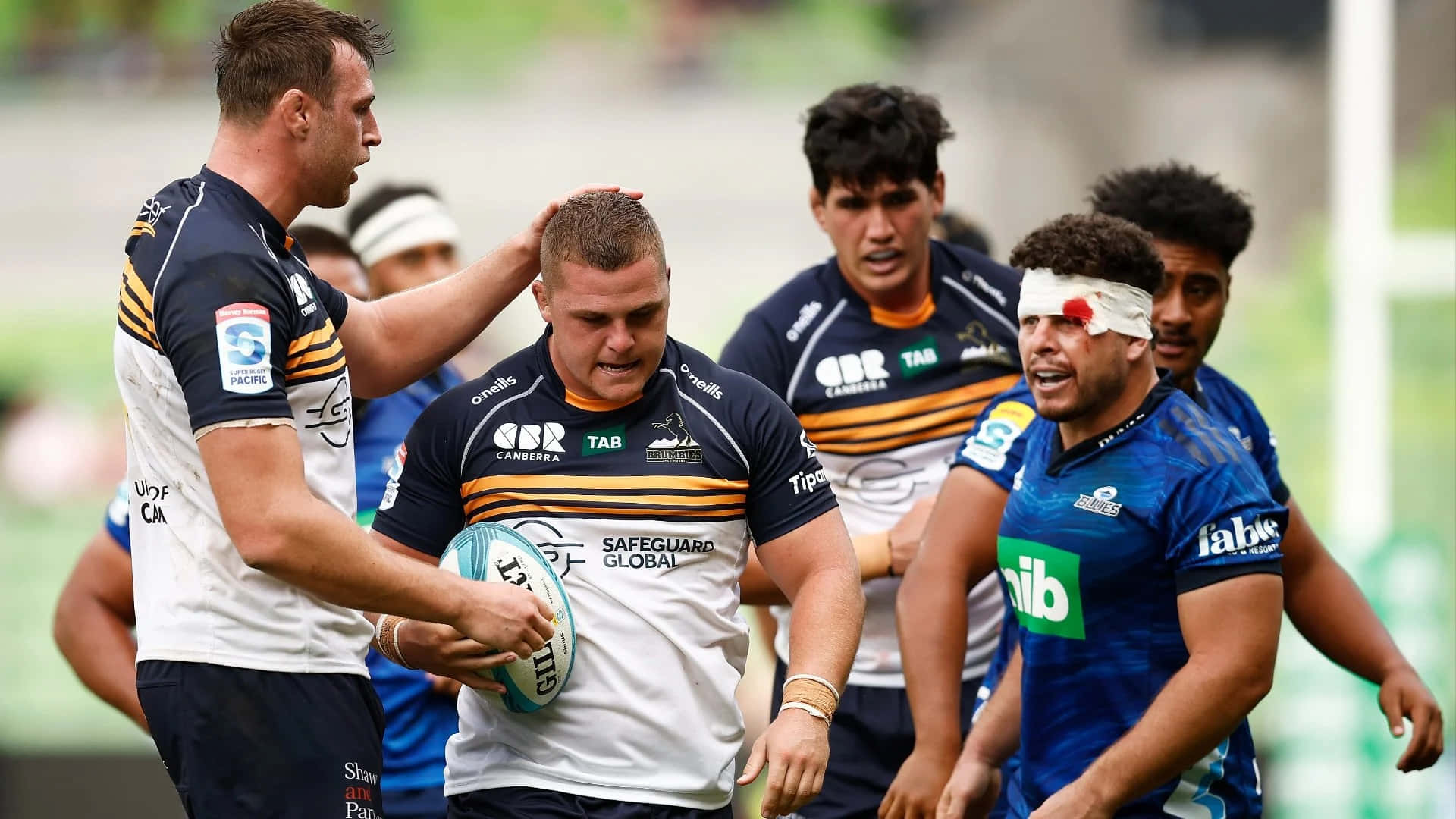 Brumbies 桌布 壁紙 — 橄欖球運動員在草地上比賽，一名球員持球，另一名頭部包紮繃帶。