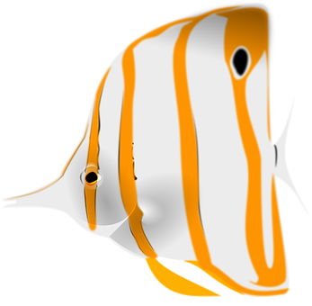 橘色條紋神仙魚插畫 壁紙