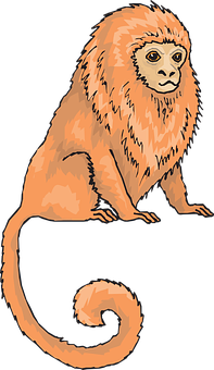 橘色猴子插圖 壁紙