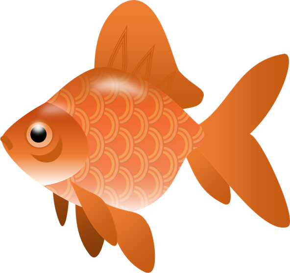 橘色金魚插圖 壁紙