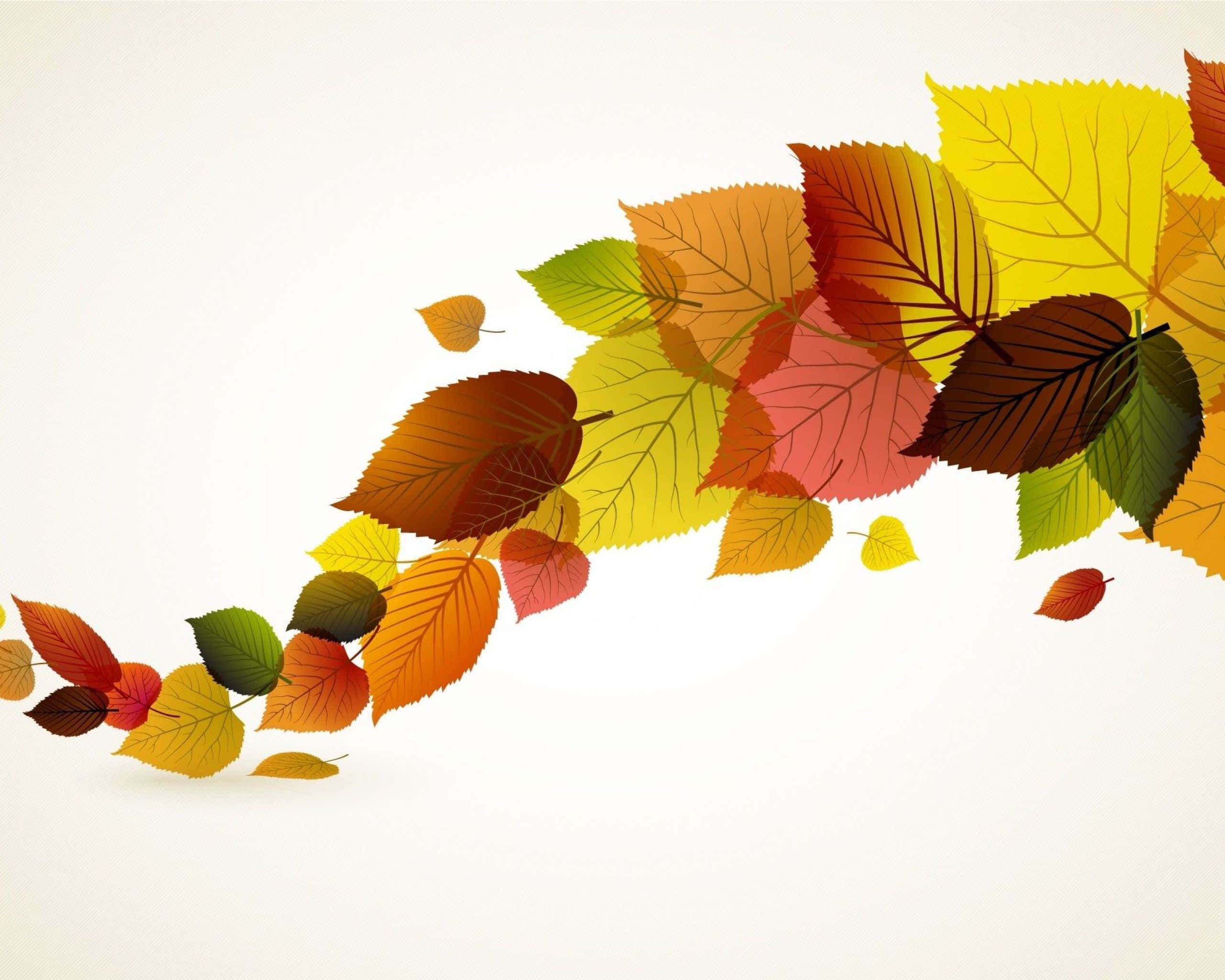 Fall Leaves 桌布 壁紙 — 橙色、黃色、紅色和綠色的鮮豔秋葉瀑布，沿對角線流過柔軟的白色背景。