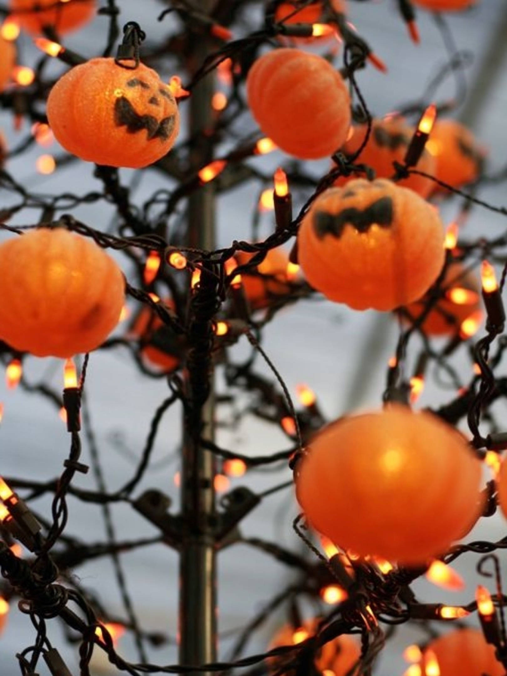 Halloween Aesthetic 桌布 壁紙 — 橙色南瓜燈籠上雕刻著面孔，在纏繞的串燈中溫暖地發光，襯托著柔和的天色。