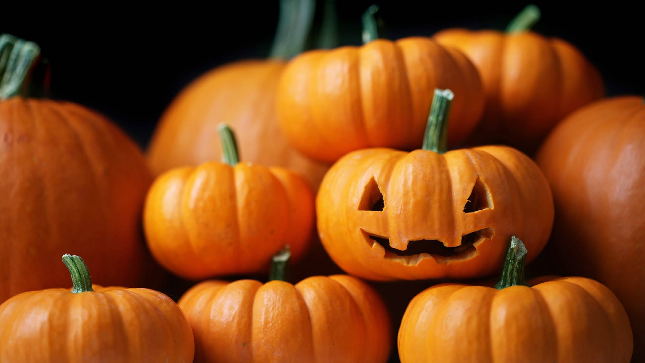 Halloween Aesthetic 桌布 壁紙 — 橙色南瓜的特寫，其中一個雕刻了傑克南瓜燈的臉，在黑暗背景下發光。