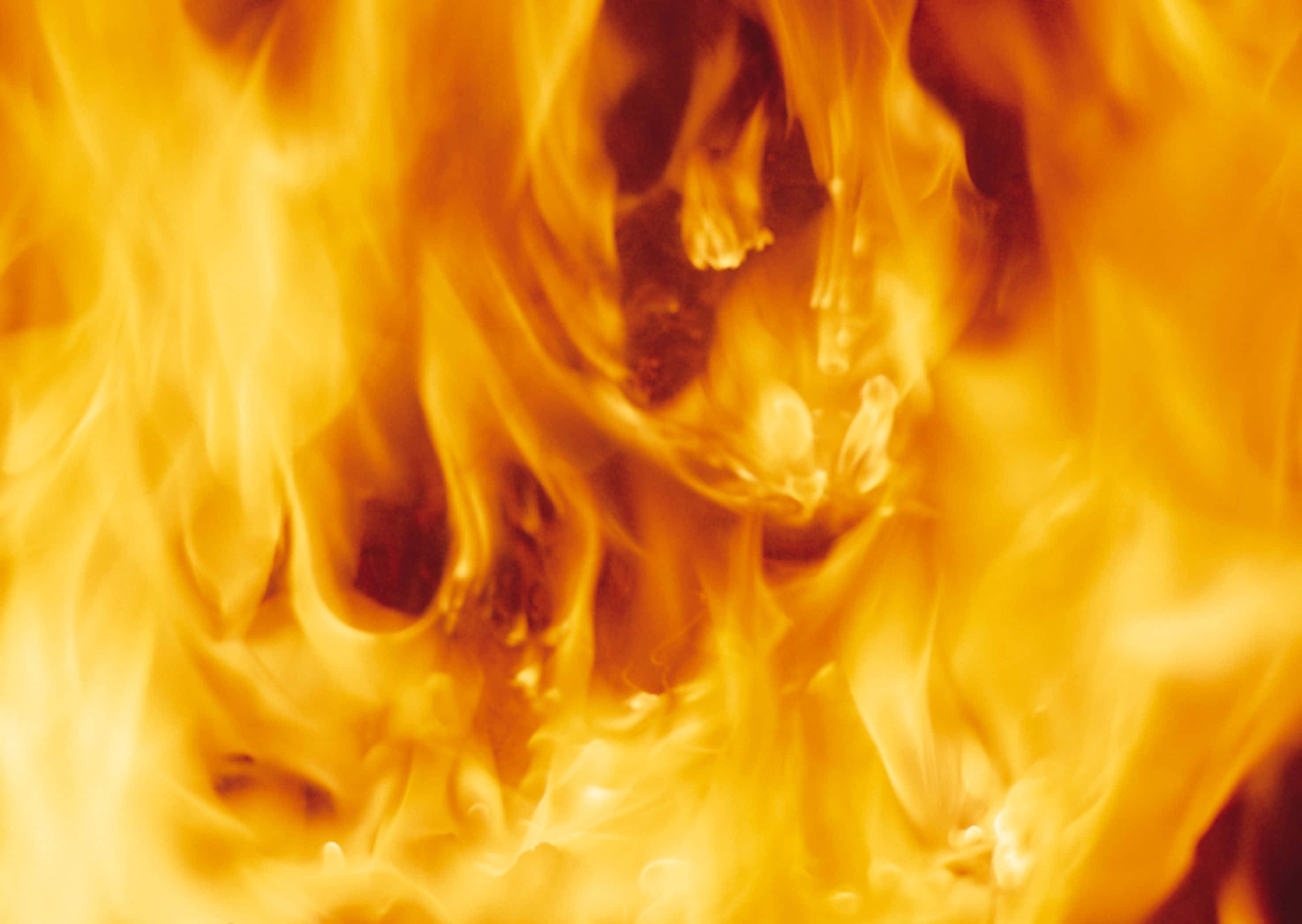 Flames 桌布 壁紙 — 橙色和黃色舞動火焰的強烈特寫，發光的餘燼在動態運動中旋轉。