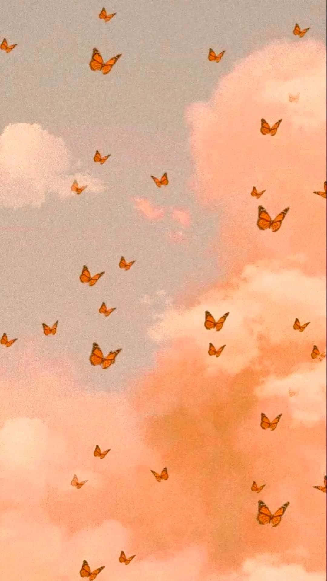 背景 桌布 壁紙 — 橙色蝴蝶在夢幻粉彩天空的柔和粉紅與蜜桃色雲朵中飛舞。