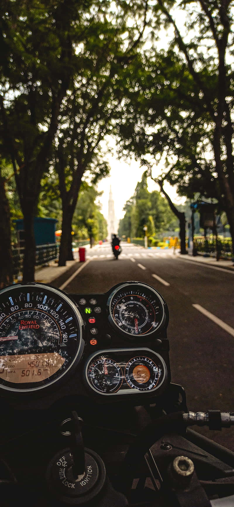 adventure 桌布 壁紙 — 機車儀表板視角，沿著綠樹成蔭的道路，前方有另一位騎士，正值黃金時刻。
