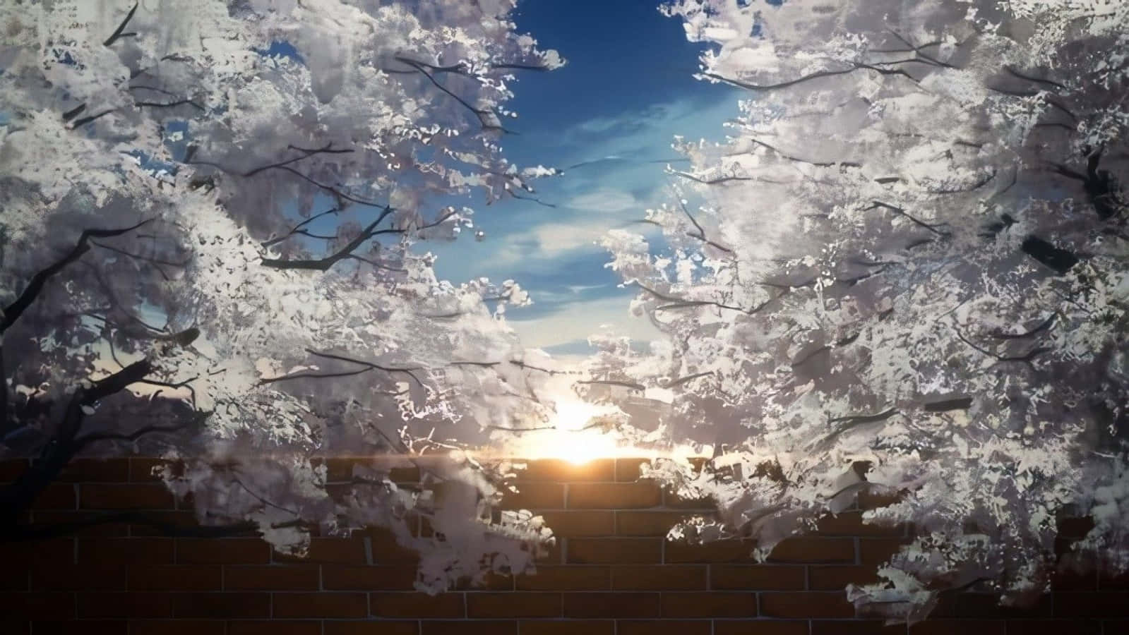 trees 桌布 壁紙 — 櫻花在清澈的藍天下，為磚牆後的溫暖夕陽構築了框架。