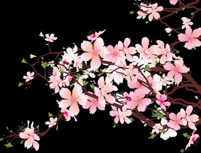 櫻花枝條插圖 — 櫻花 壁紙