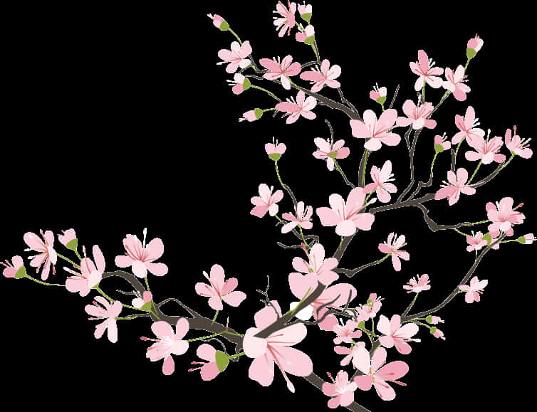 櫻花枝條插畫