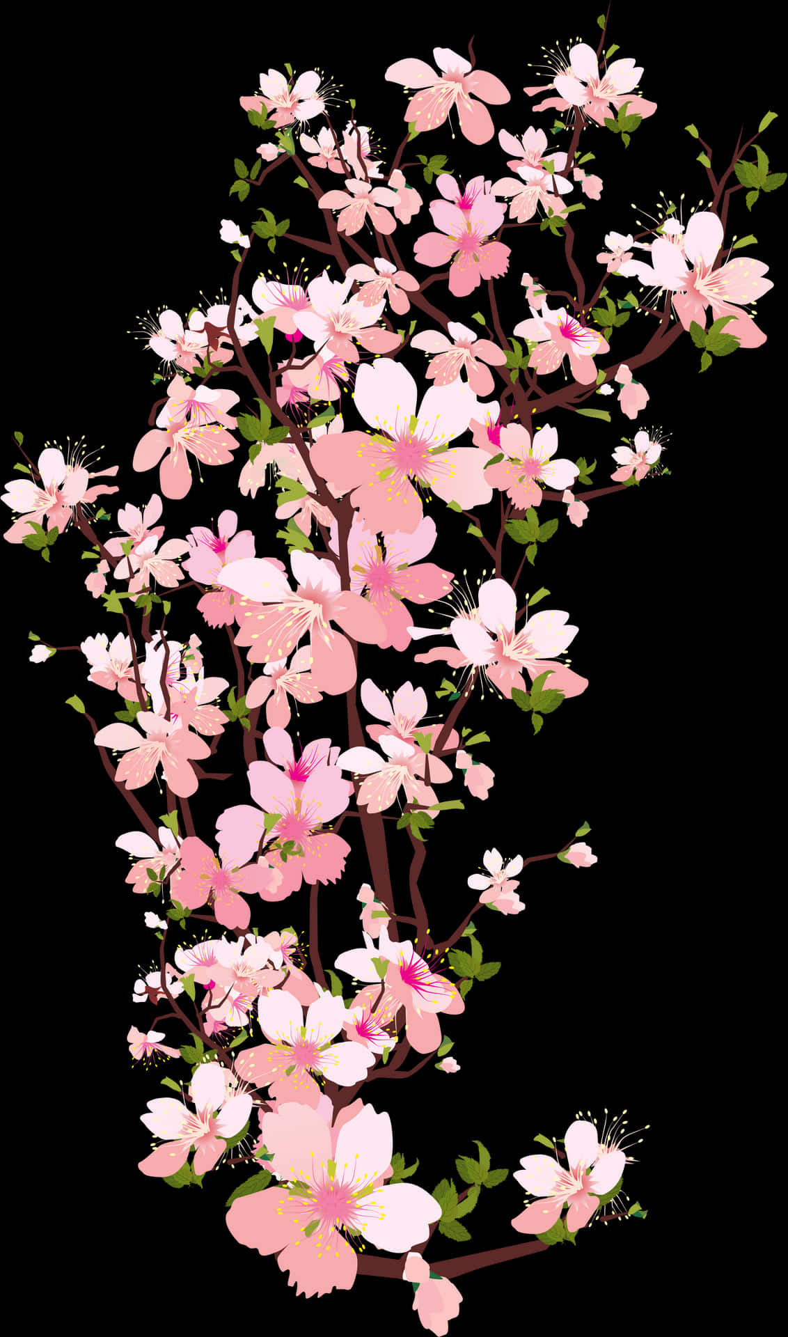 櫻花枝條藝術作品 — 櫻花 壁紙