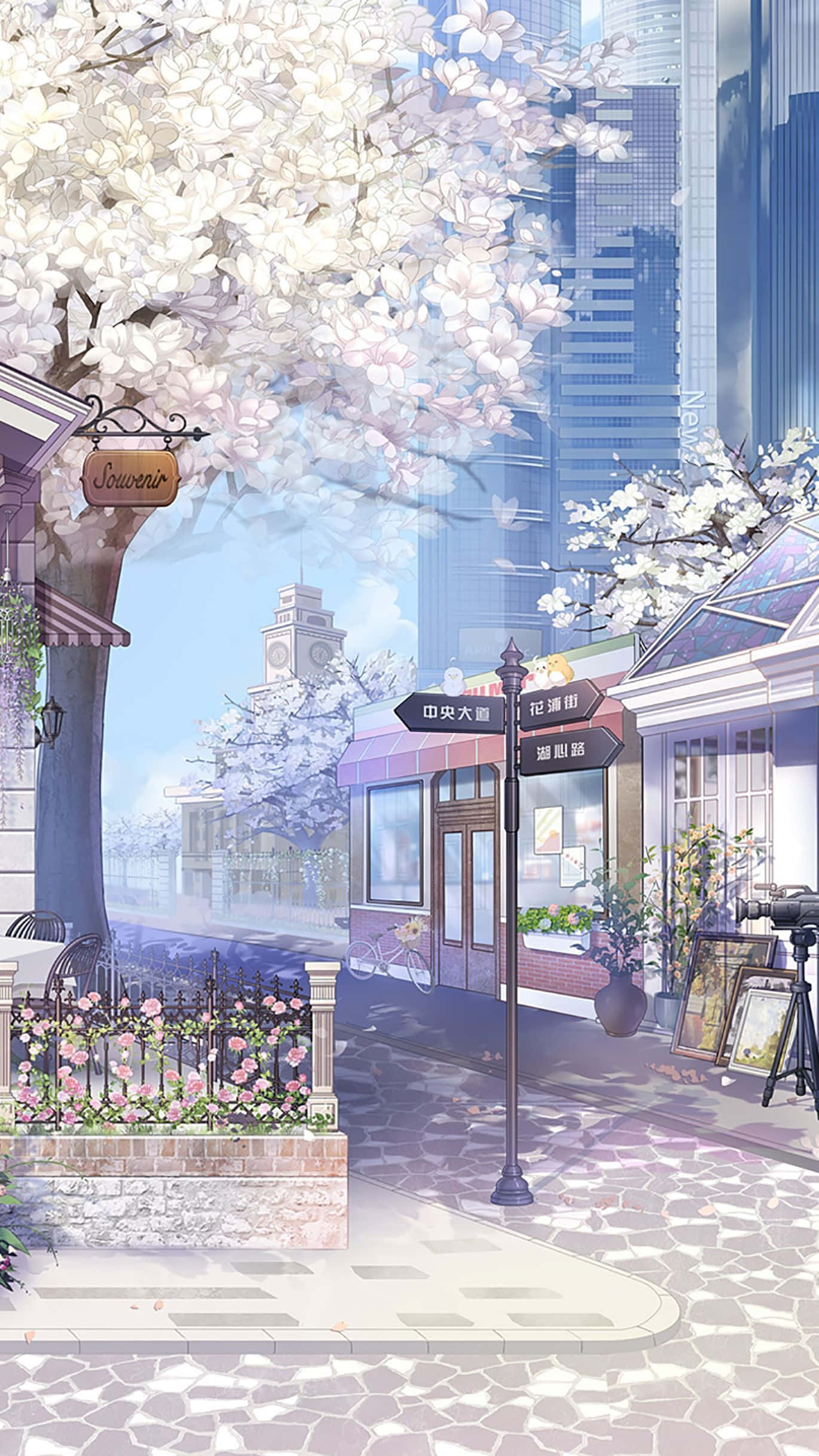 Sakura Anime 桌布 壁紙 — 櫻花樹在現代摩天大樓和復古電車旁的鵝卵石街道上盛開。