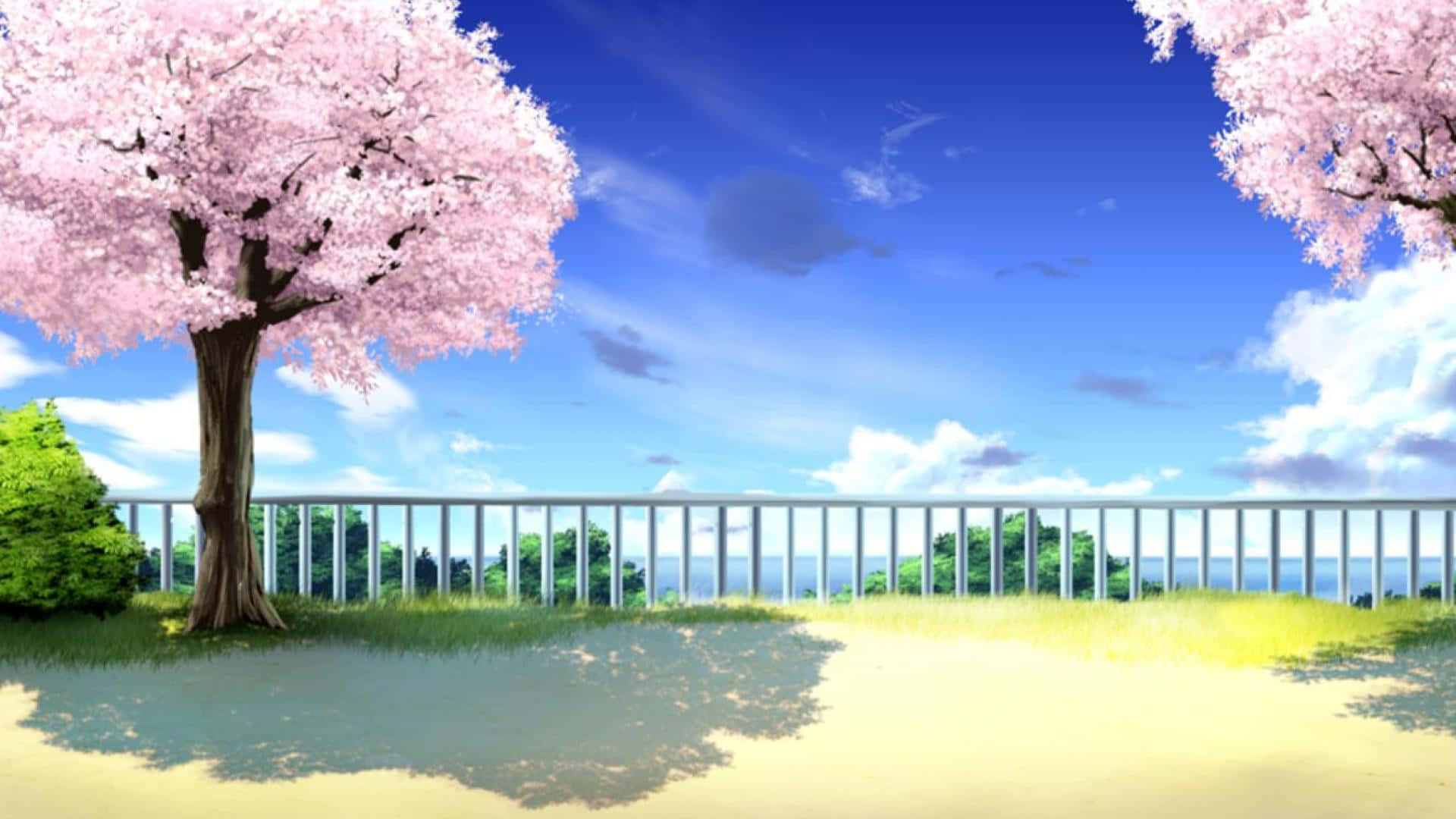 櫻花背景 壁紙