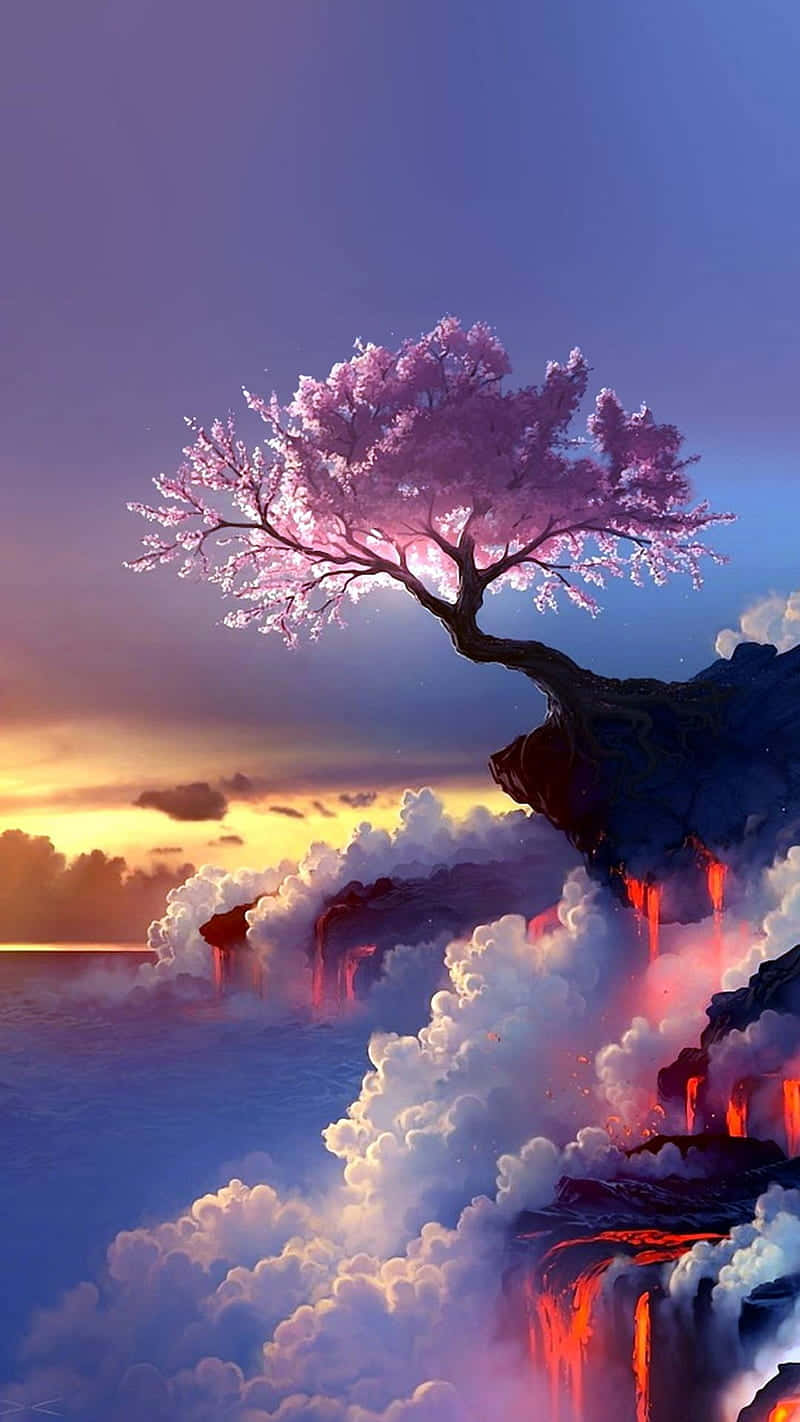 櫻花背景 壁紙