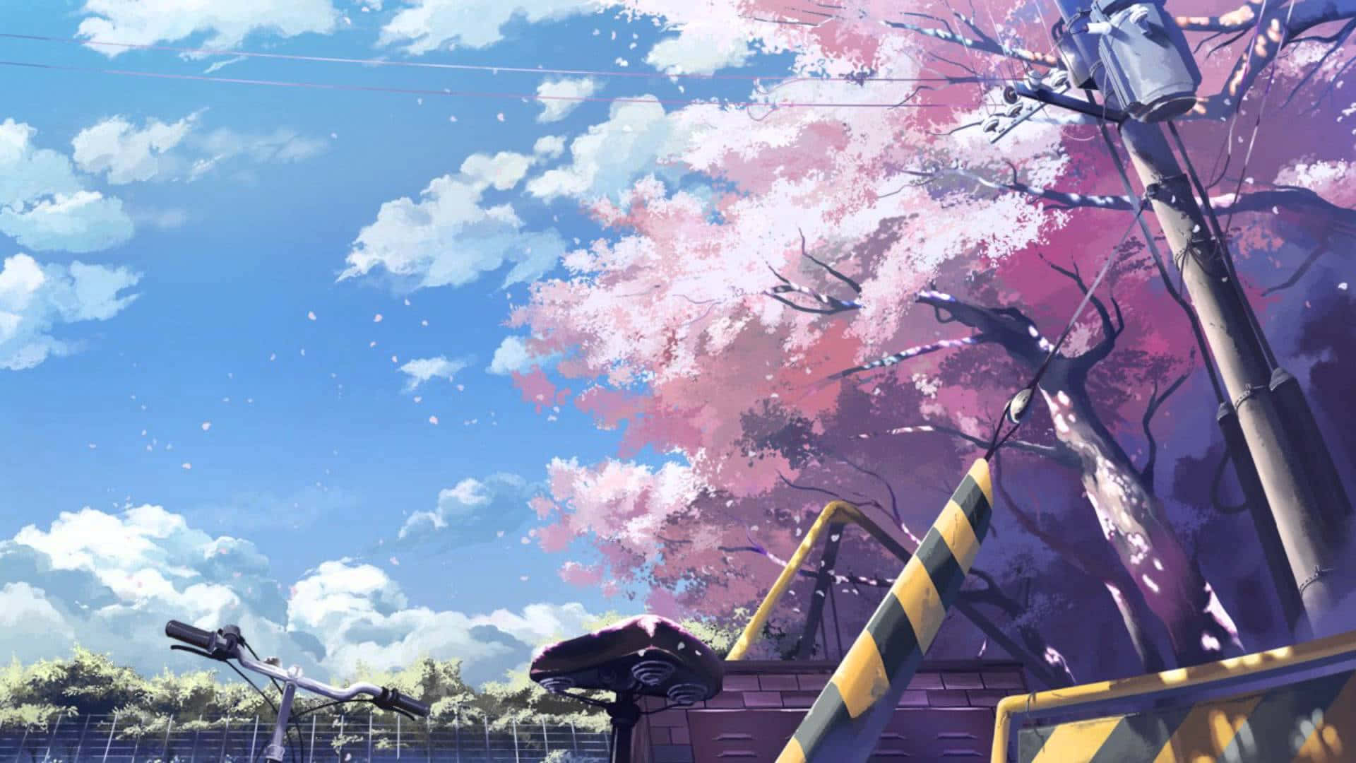 櫻花背景 壁紙
