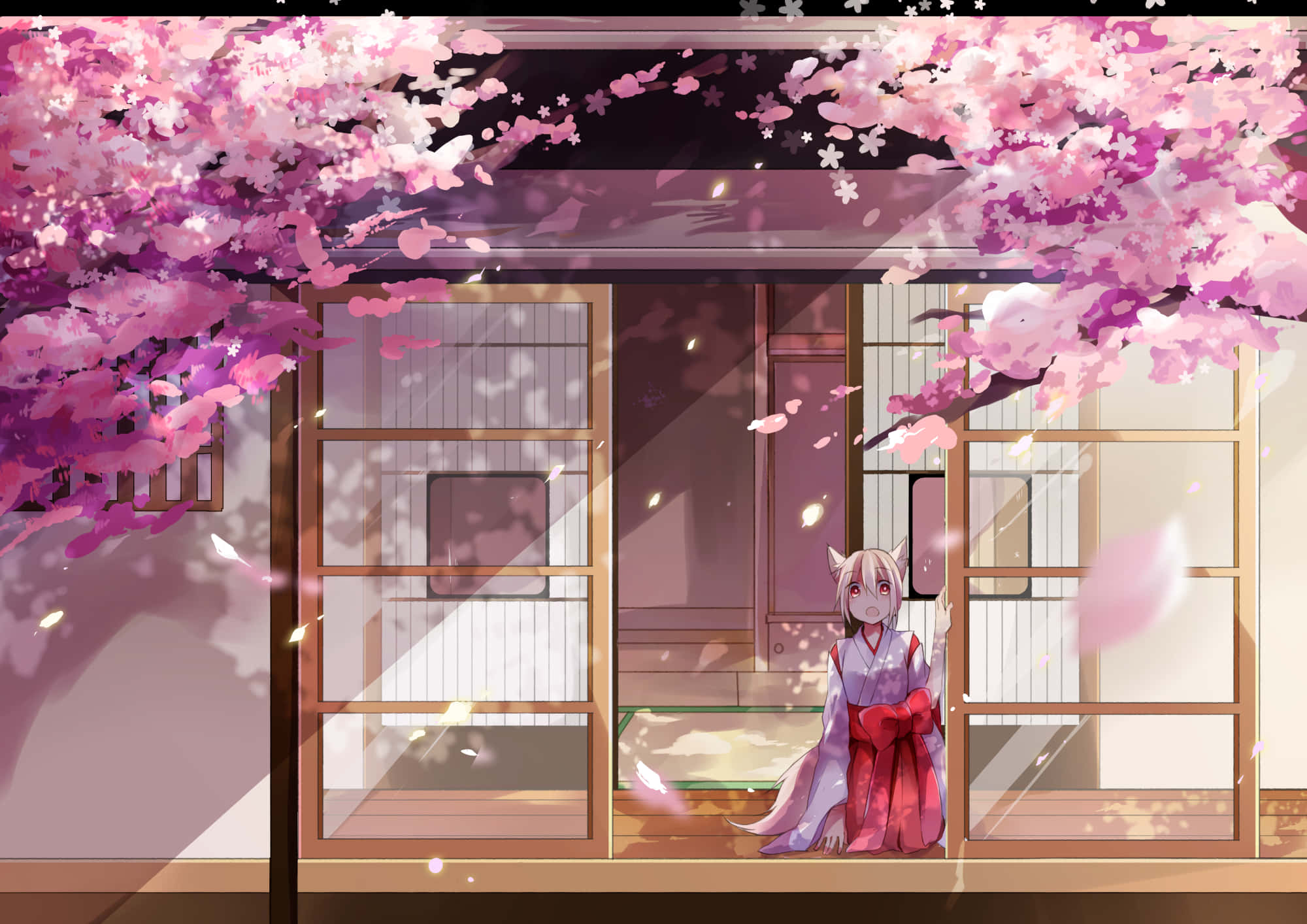 櫻花背景 壁紙
