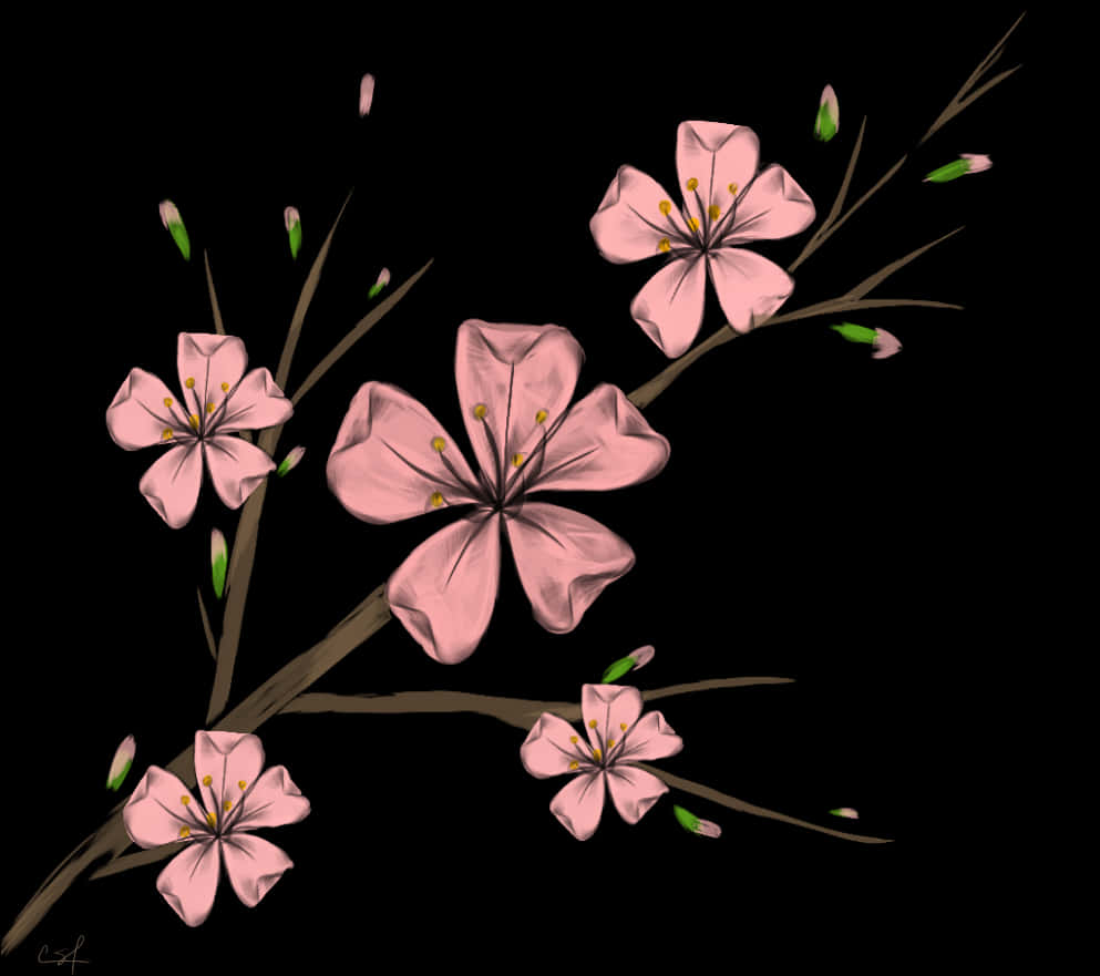 櫻花藝術表現