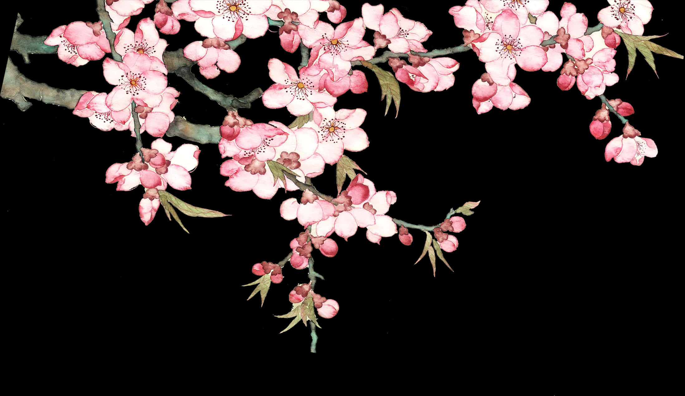 櫻花藝術表現 壁紙