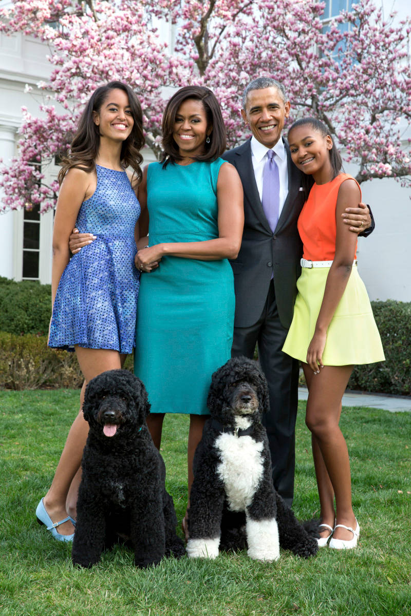 Michelle 桌布 壁紙 — 歐巴馬一家在白宮盛開的粉紅色櫻花樹前與兩隻黑色貴賓犬合影微笑。