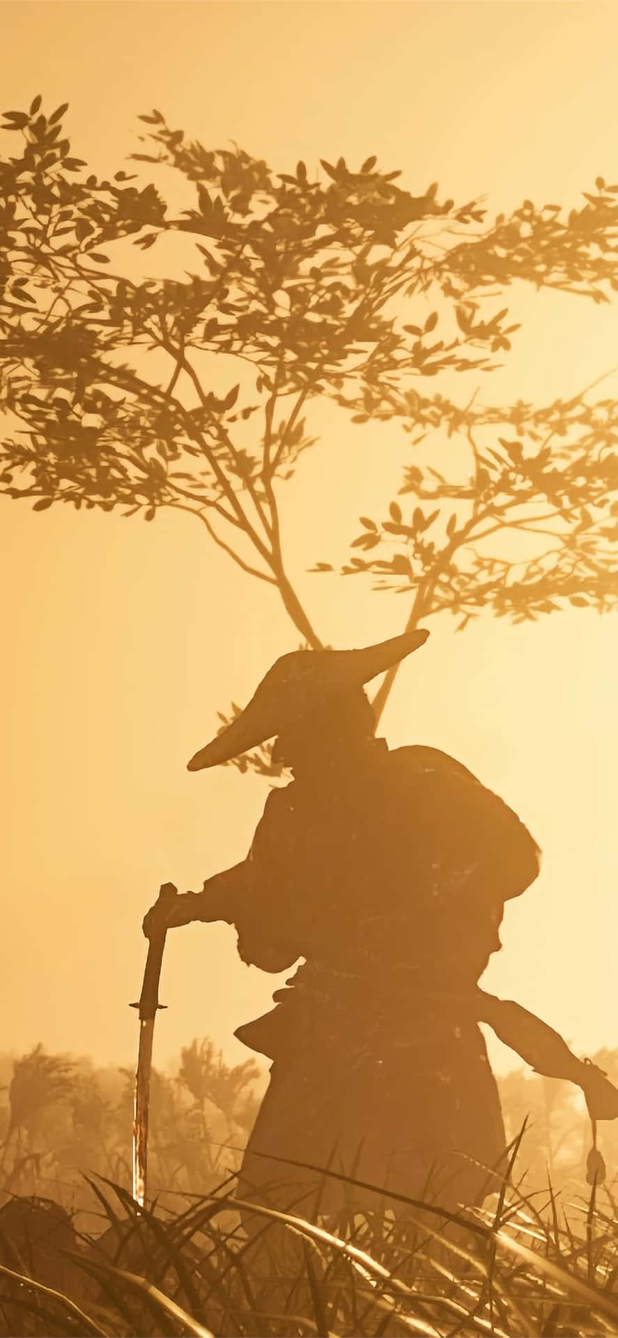 電玩遊戲 桌布 壁紙 — 武士剪影手持劍，站在樹下，背景是金色日落天空。