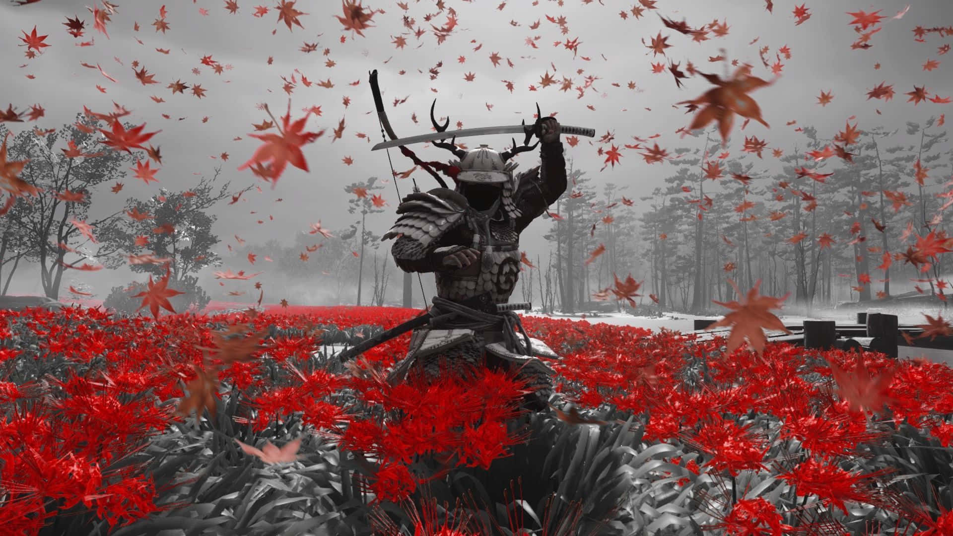 武士背景 — 武士動畫 壁紙