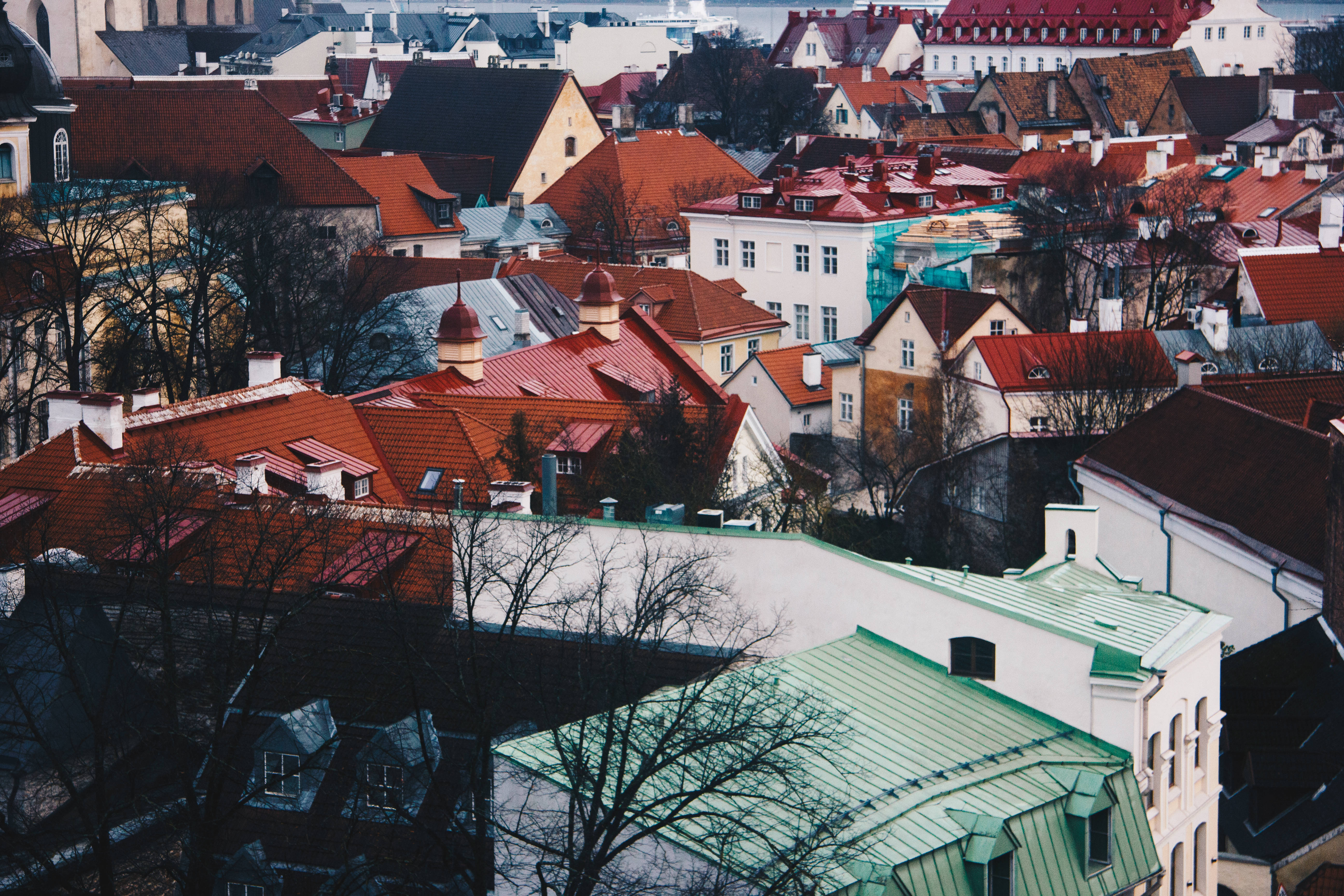 Estonia 桌布 壁紙 — 歷史歐洲屋頂的鳥瞰圖，有紅色瓦片和光禿樹木，天空多雲。